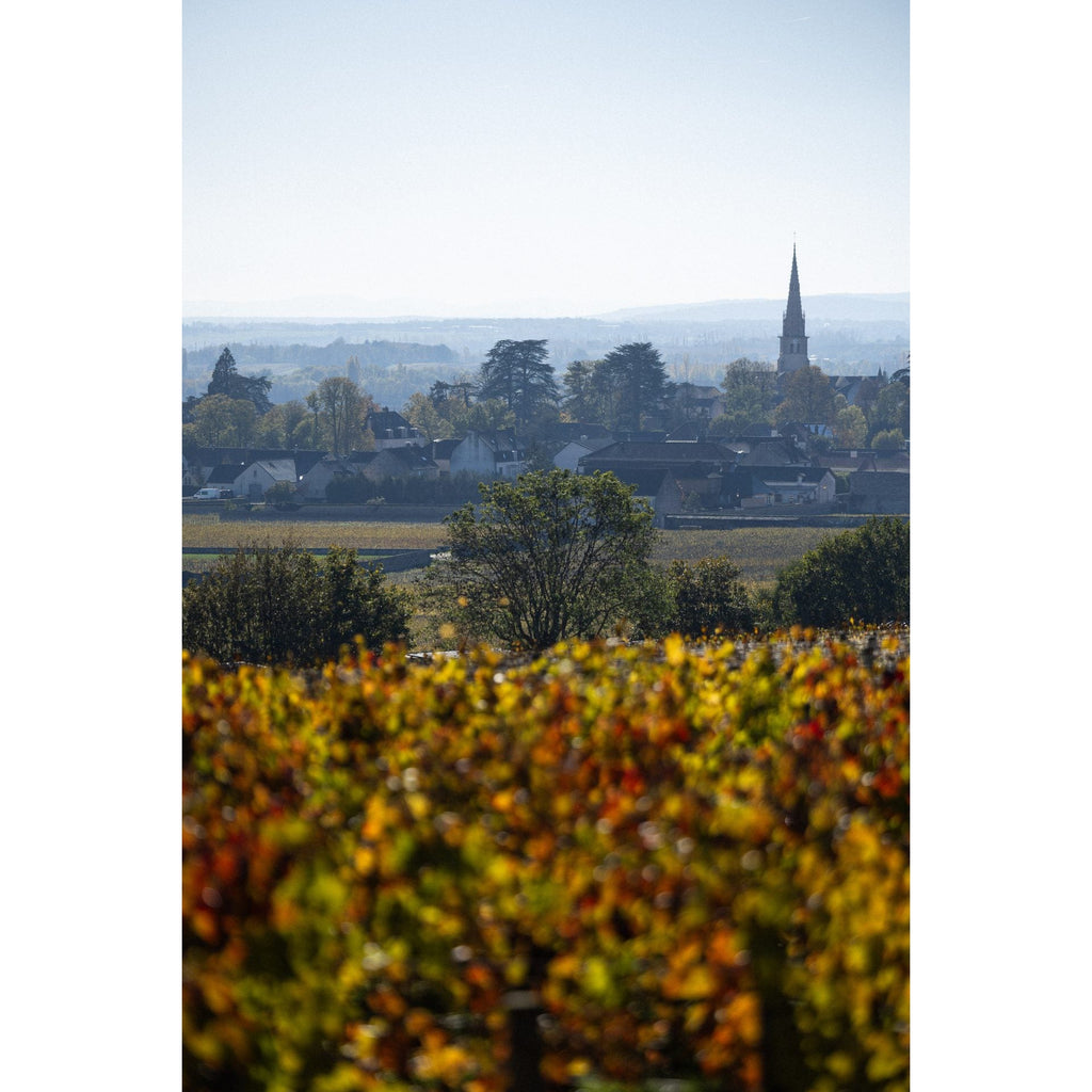 2021 Bourgogne Chardonnay, Domaine Buisson-Battault