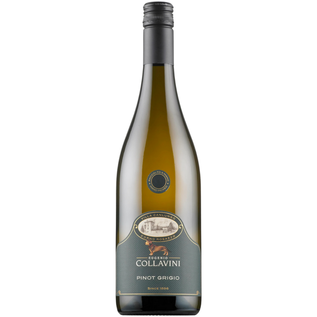 2022 Pinot Grigio 'Villa Canlungo', Collio, Friuli-Venezia Giulia, Collavini